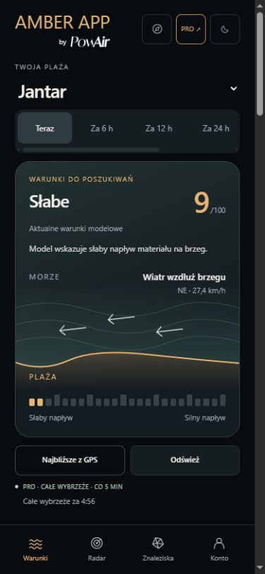 Rzeczywisty ekran AmberApp — warunki na wybrzeżu